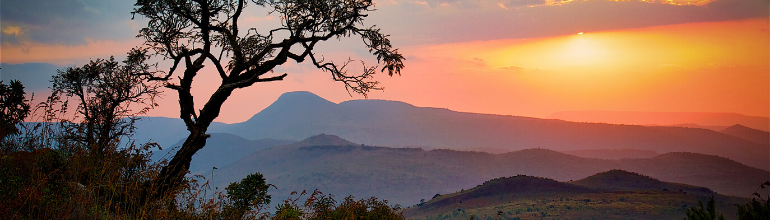 africa 770x220 v1 africa 770x220 v1